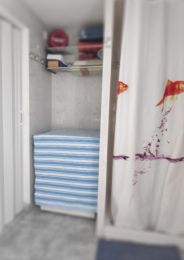 Can Blau Roses Luaran gambar